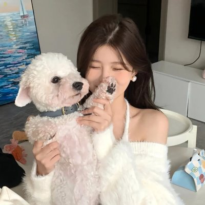 铳梦：战斗天使